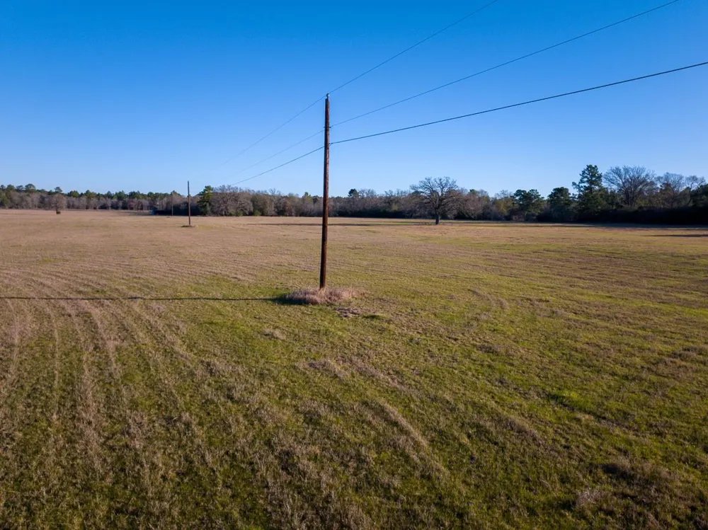 Dickey Loop Huntsville, TX 77320