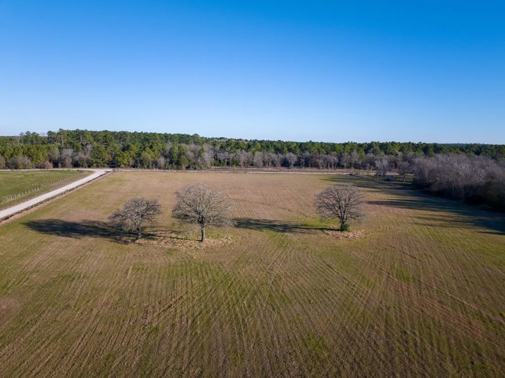 Dickey Loop Huntsville, TX 77320