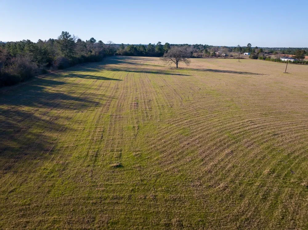 Dickey Loop Huntsville, TX 77320