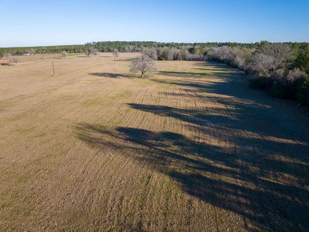 Dickey Loop Huntsville, TX 77320