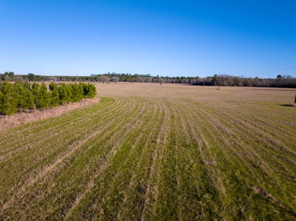 Dickey Loop Huntsville, TX 77320