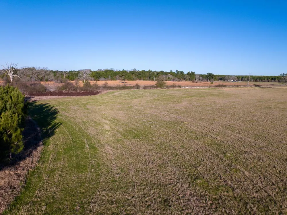 Dickey Loop Huntsville, TX 77320