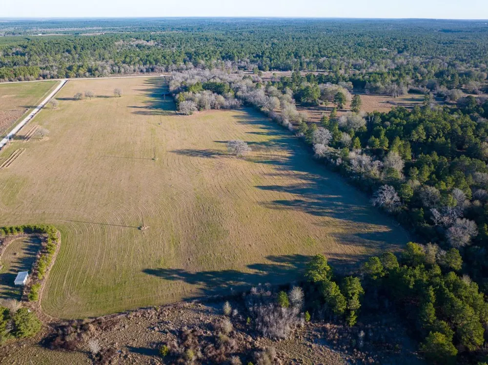 Dickey Loop Huntsville, TX 77320