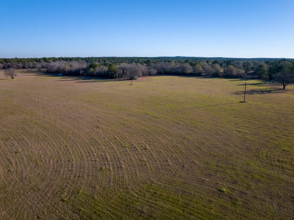Dickey Loop Huntsville, TX 77320