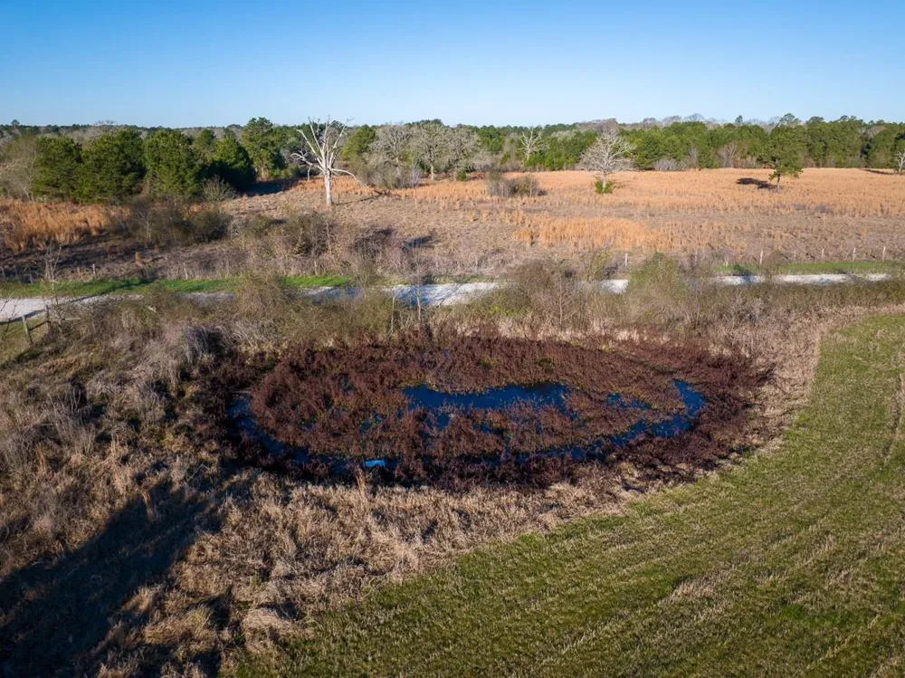 Dickey Loop Huntsville, TX 77320