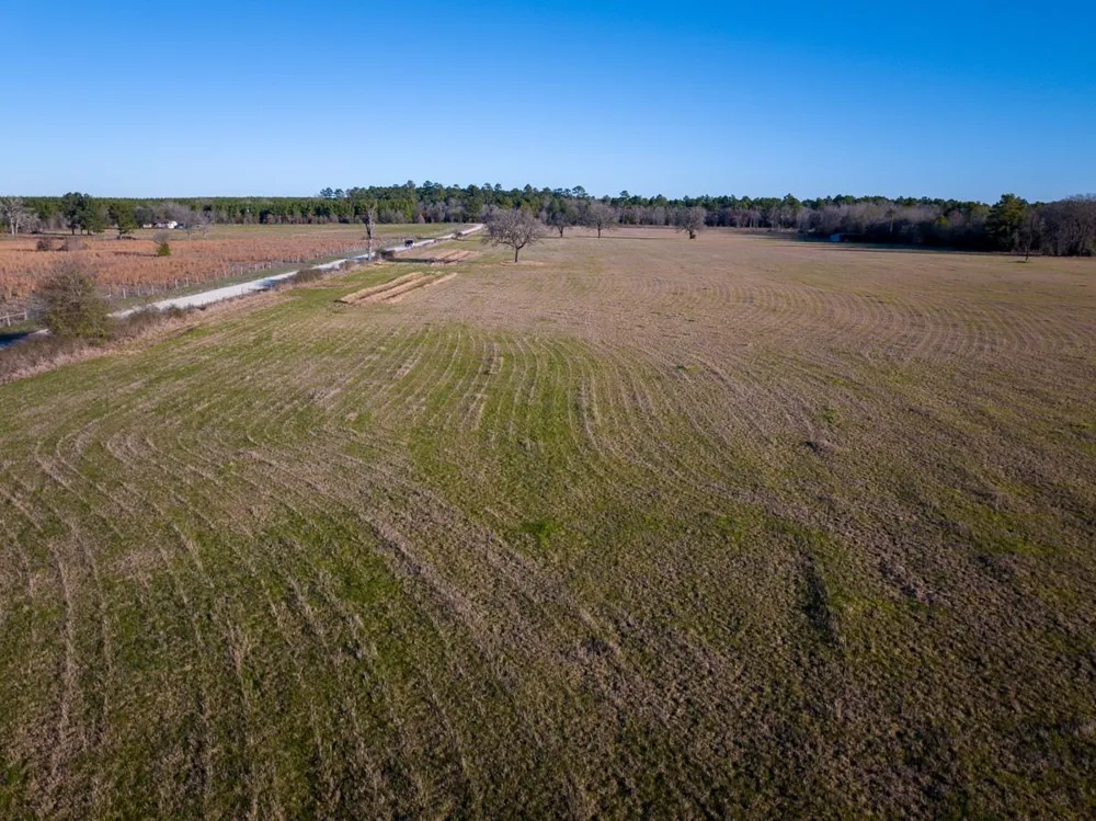 Dickey Loop Huntsville, TX 77320