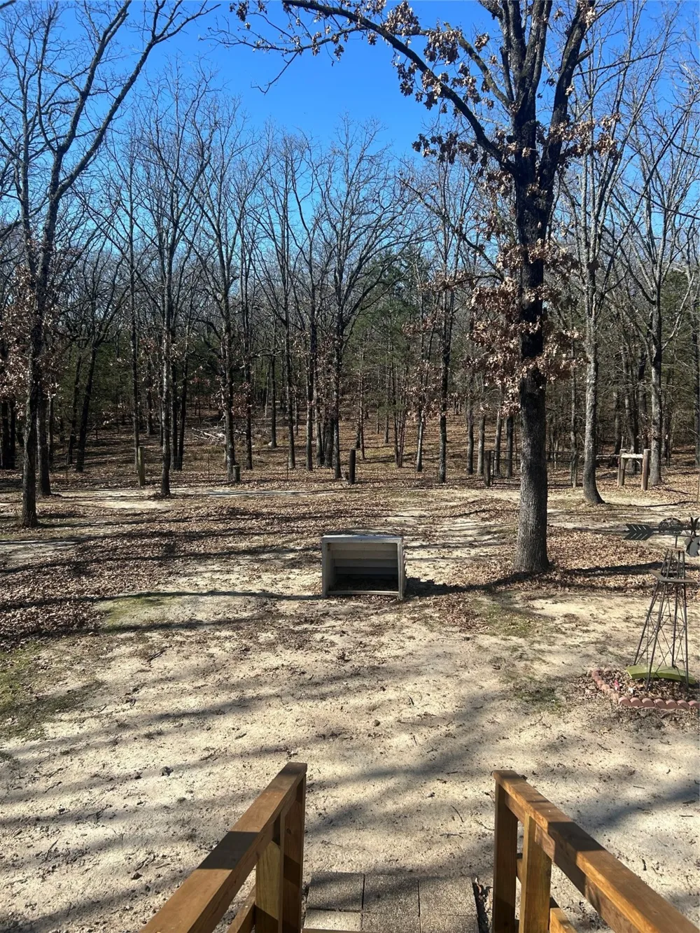 244 County Road 1973 Yantis, TX 75497