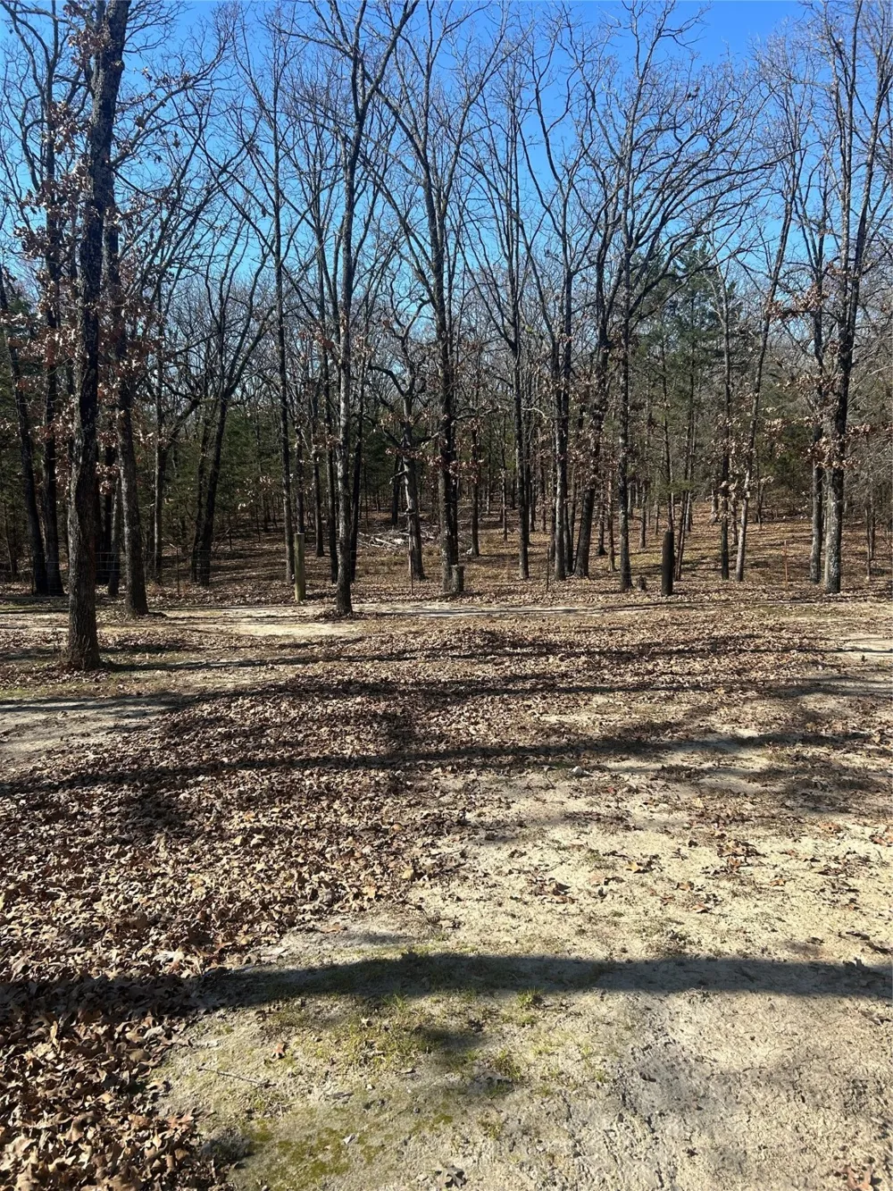 244 County Road 1973 Yantis, TX 75497