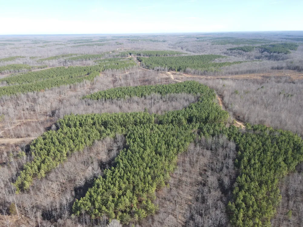 0 North Fork Stewart, TN 37175