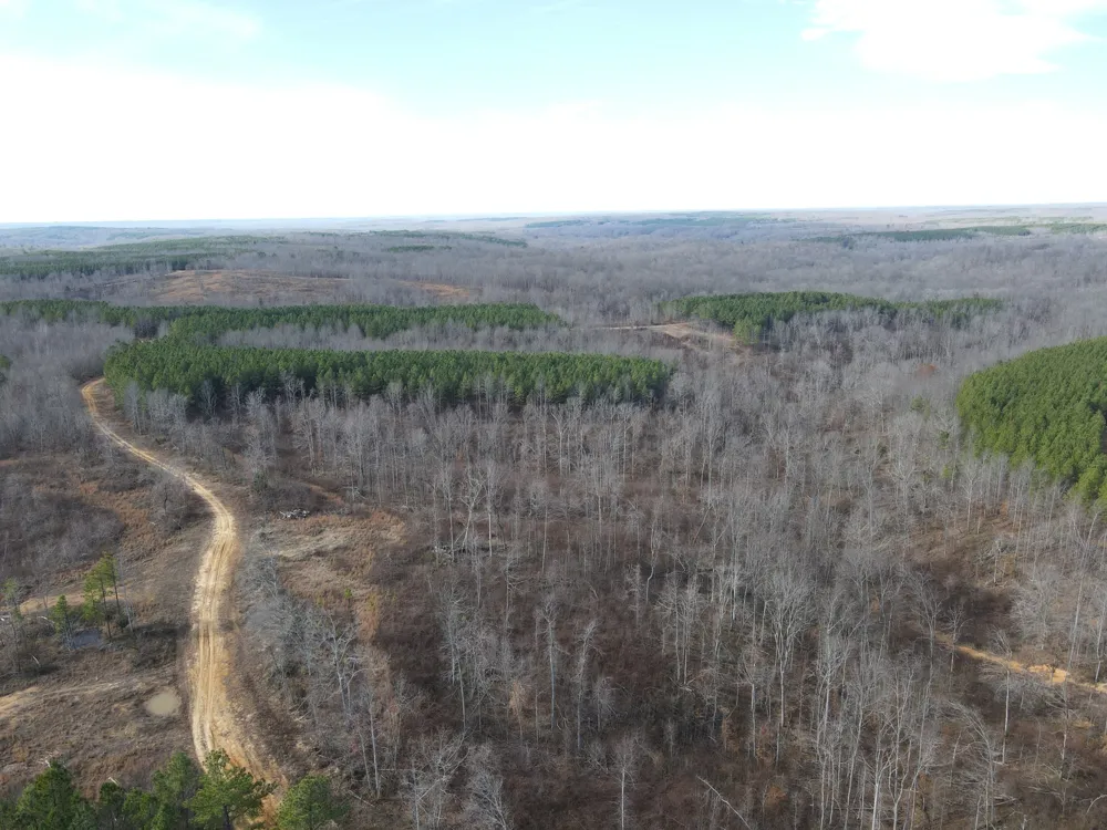 0 North Fork Stewart, TN 37175