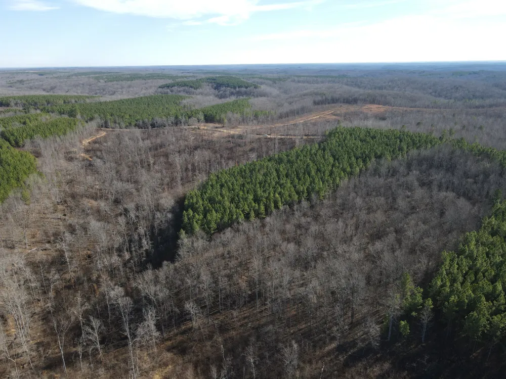 0 North Fork Stewart, TN 37175
