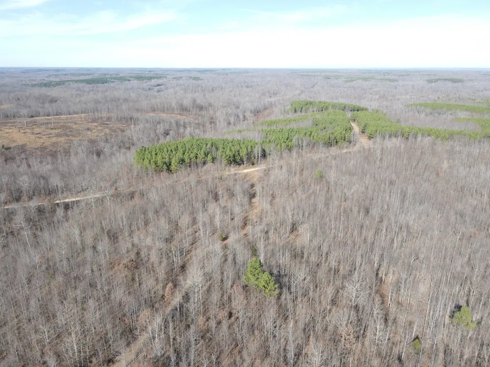 0 North Fork Stewart, TN 37175