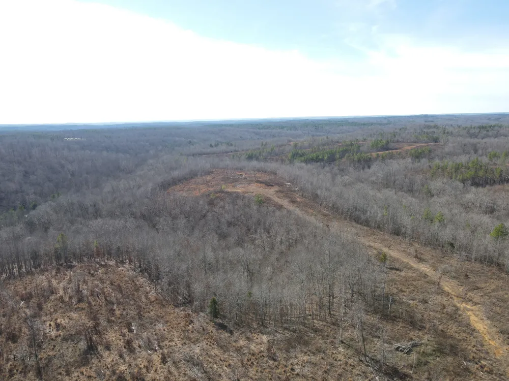 0 North Fork Stewart, TN 37175