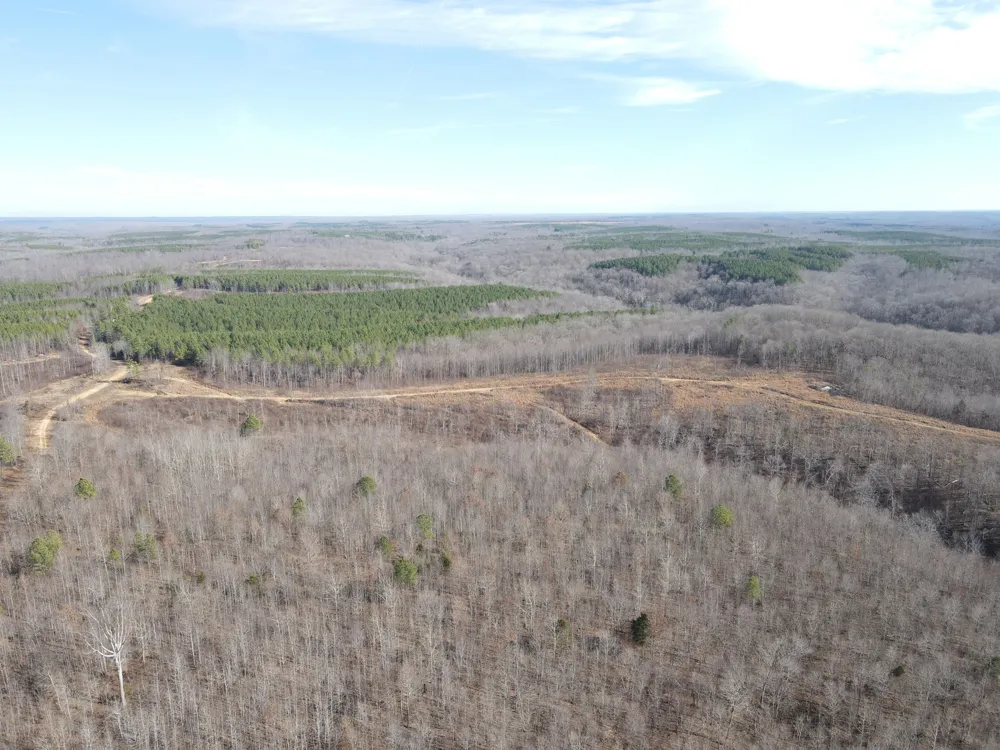 0 North Fork Stewart, TN 37175