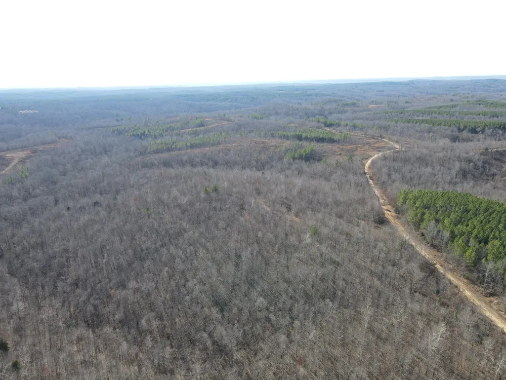 0 North Fork Stewart, TN 37175