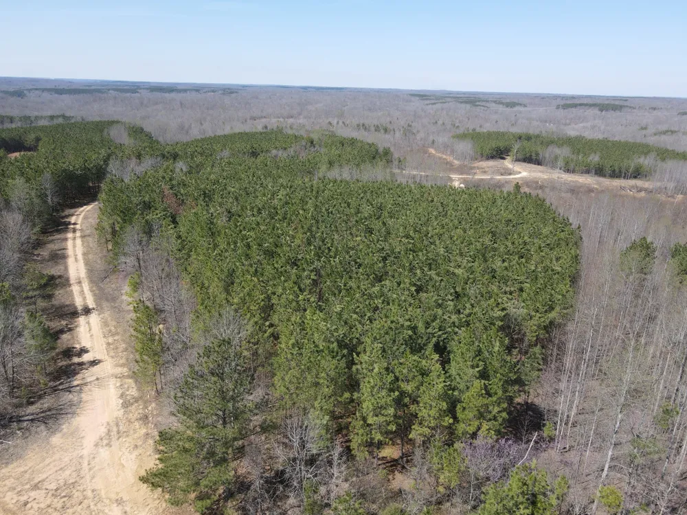 0 North Fork Stewart, TN 37175