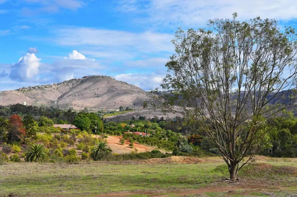 6710 El Montevideo Rancho Santa Fe, CA 92067