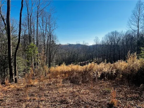 TBD Holly Springs Road