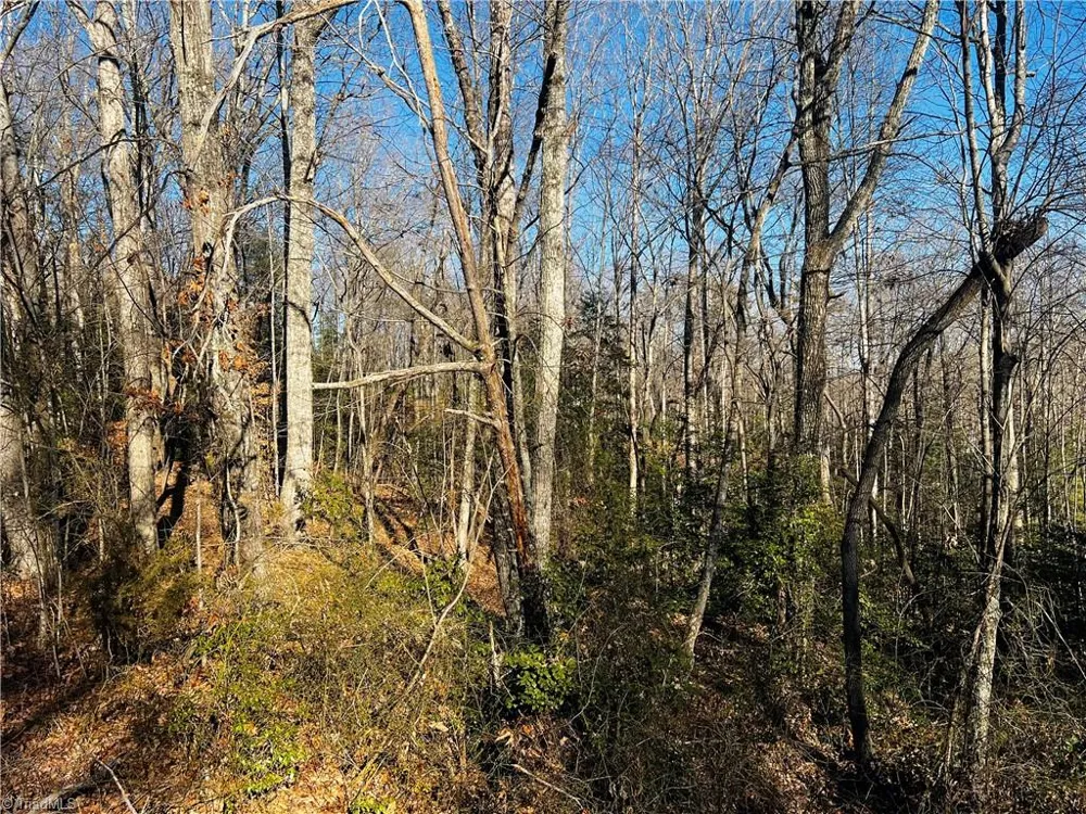 TBD Holly Springs Road Mount Airy, NC 27030