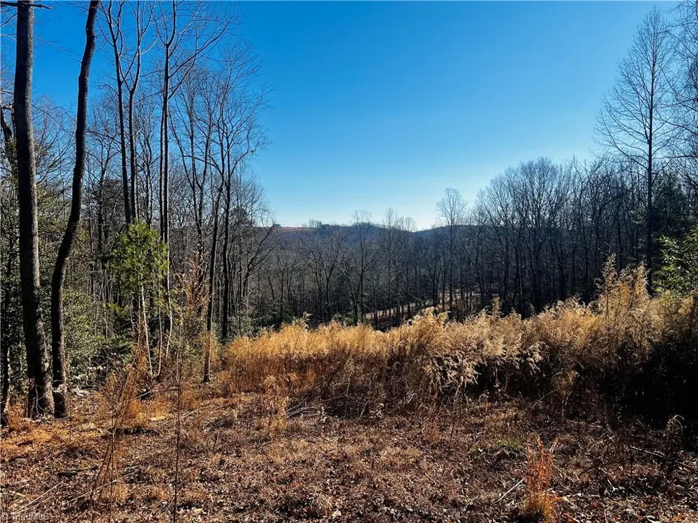 TBD Holly Springs Road Mount Airy, NC 27030