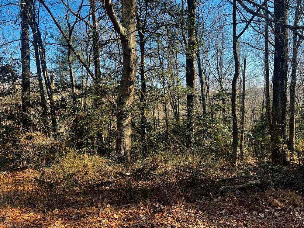 TBD Holly Springs Road Mount Airy, NC 27030