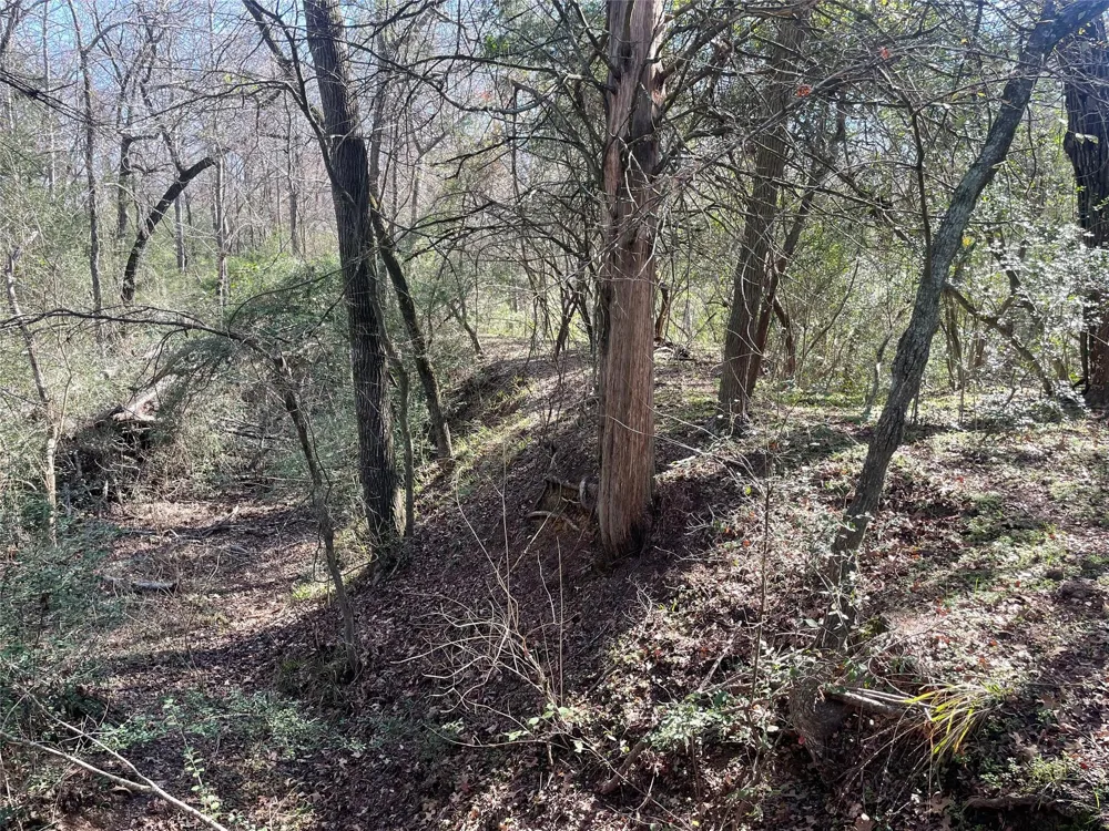 Fm 1119 Centerville, TX 75833