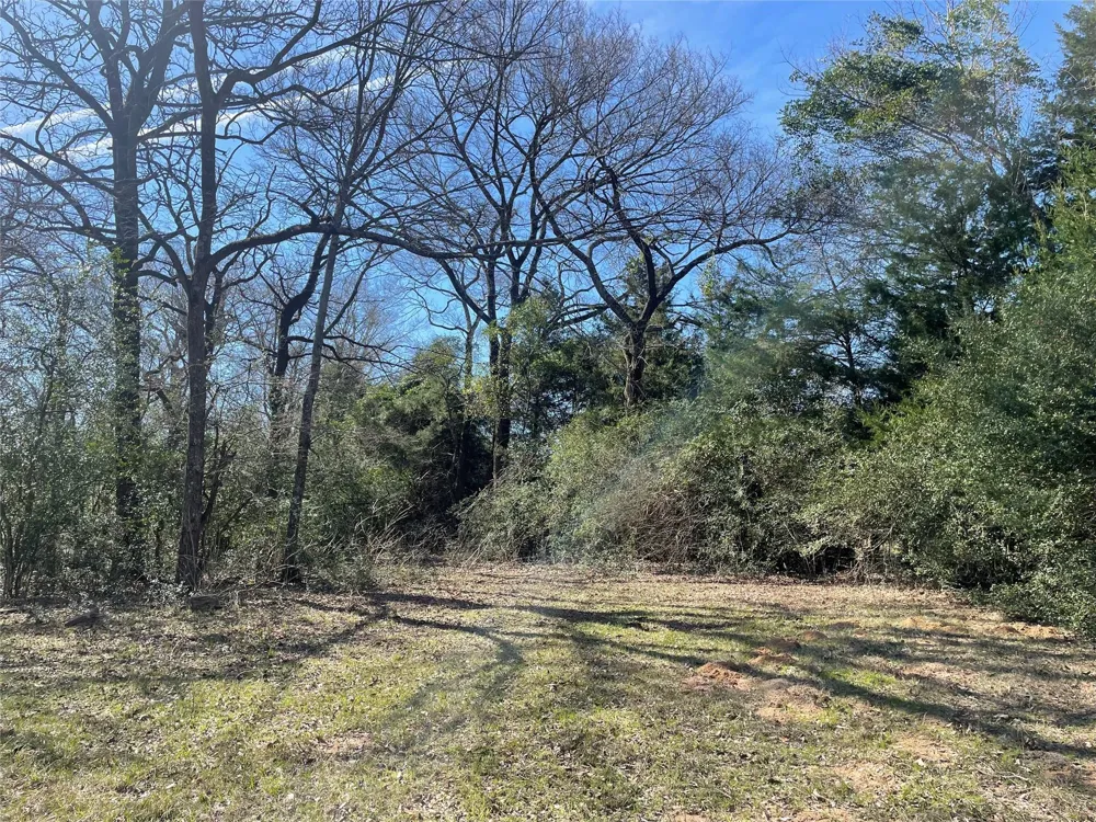 Fm 1119 Centerville, TX 75833