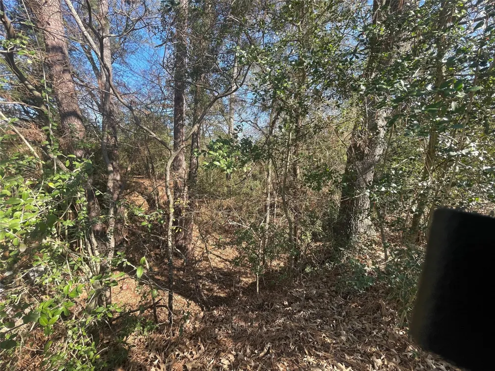 Fm 1119 Centerville, TX 75833