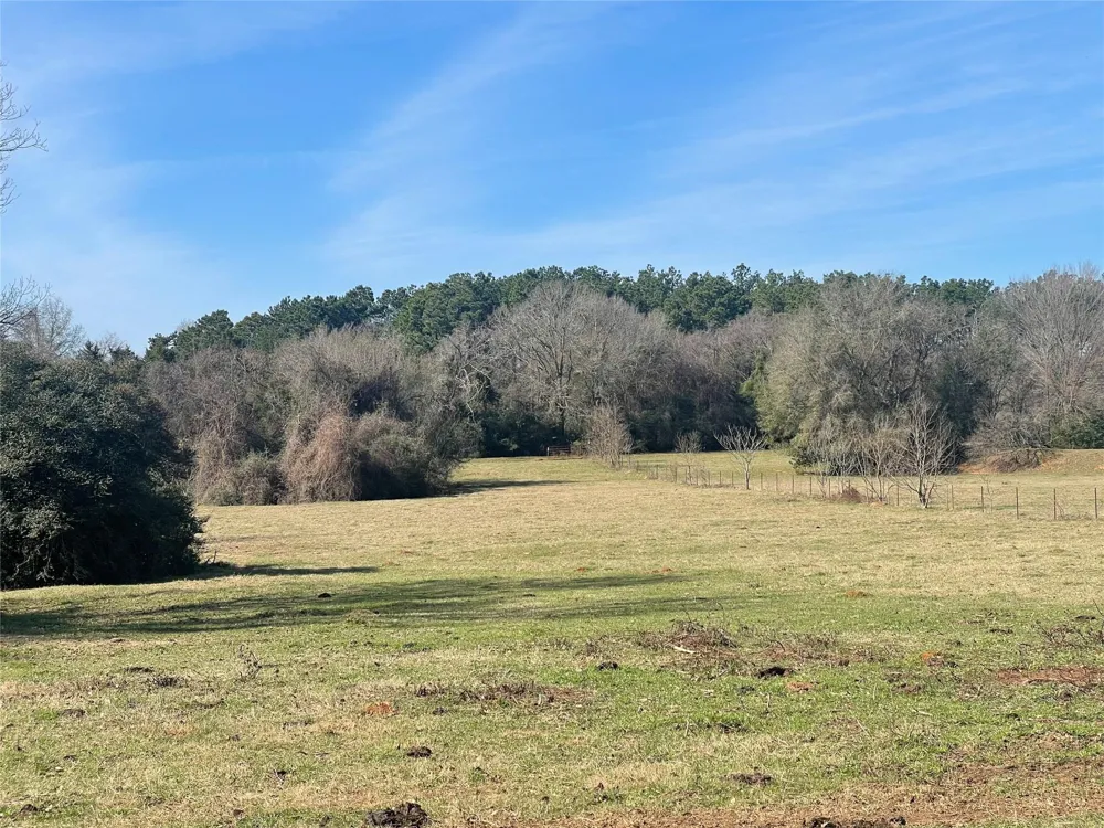 Fm 1119 Centerville, TX 75833