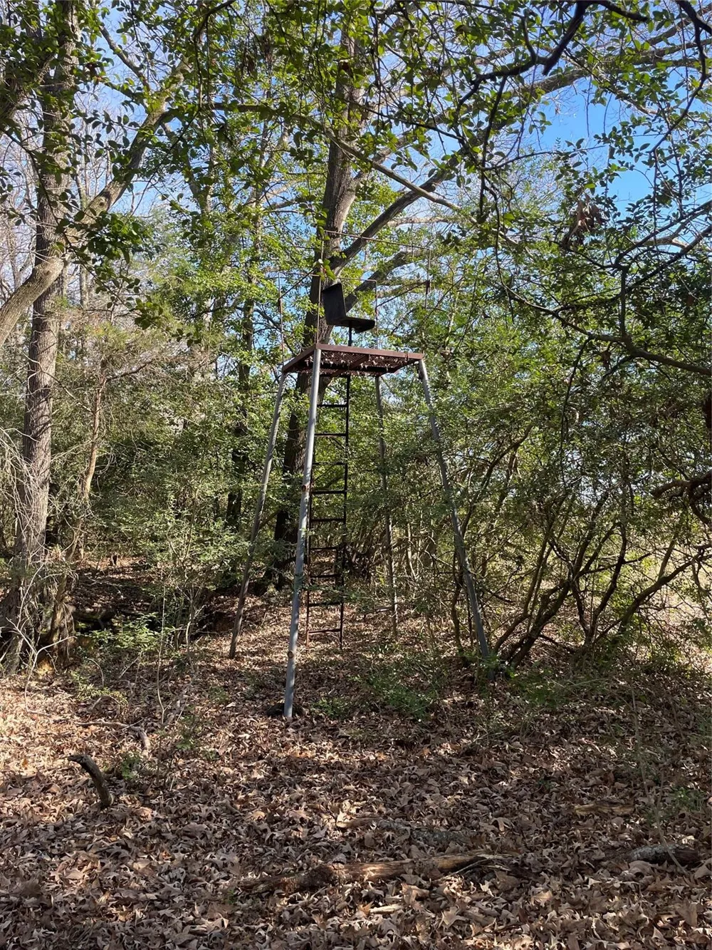 Fm 1119 Centerville, TX 75833