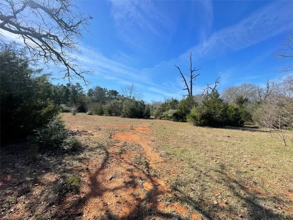 Fm 1119 Centerville, TX 75833