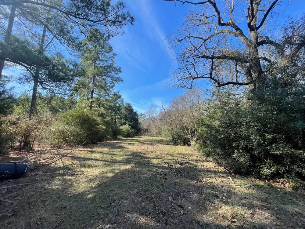 Fm 1119 Centerville, TX 75833