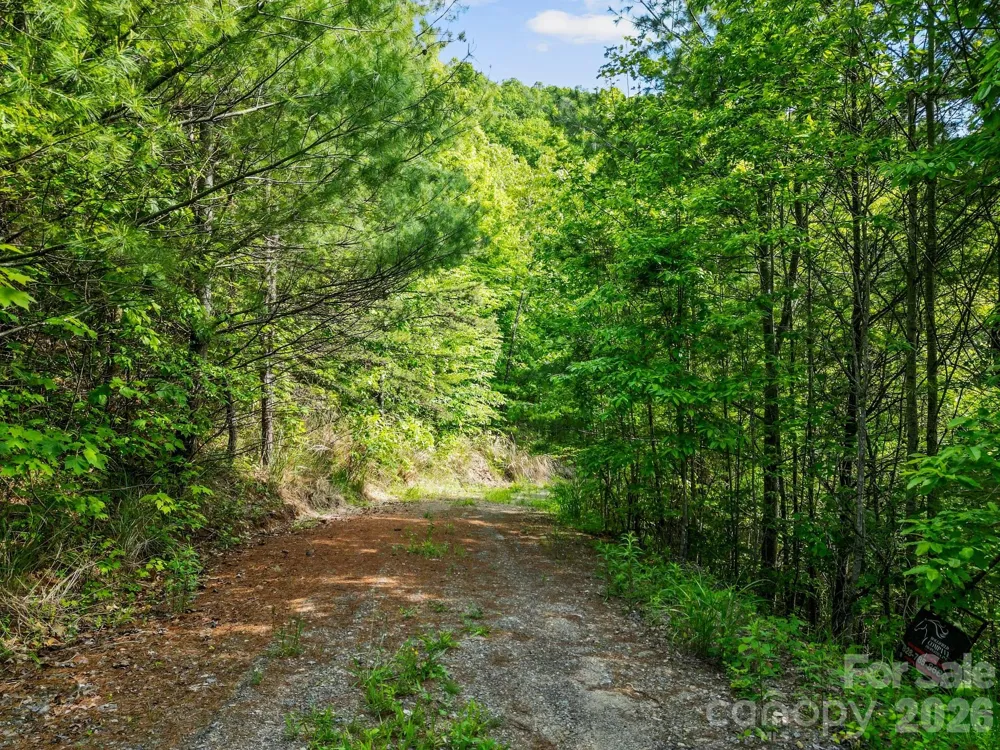 138 Whitfield Lane Weaverville, NC 28787