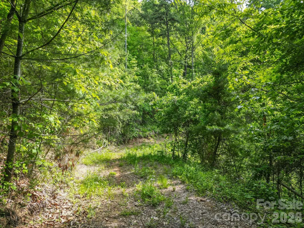138 Whitfield Lane Weaverville, NC 28787