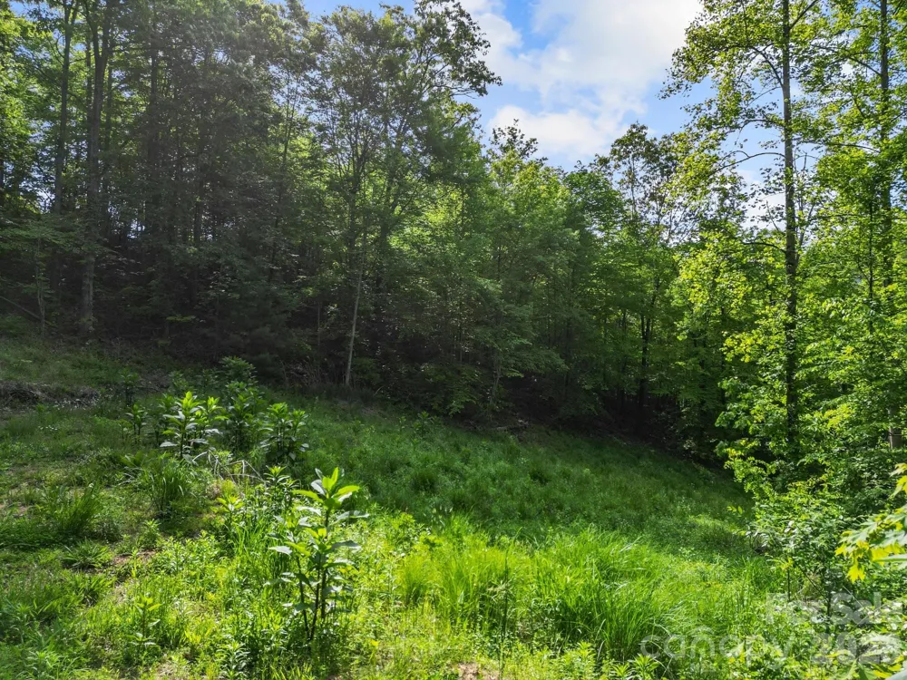 138 Whitfield Lane Weaverville, NC 28787
