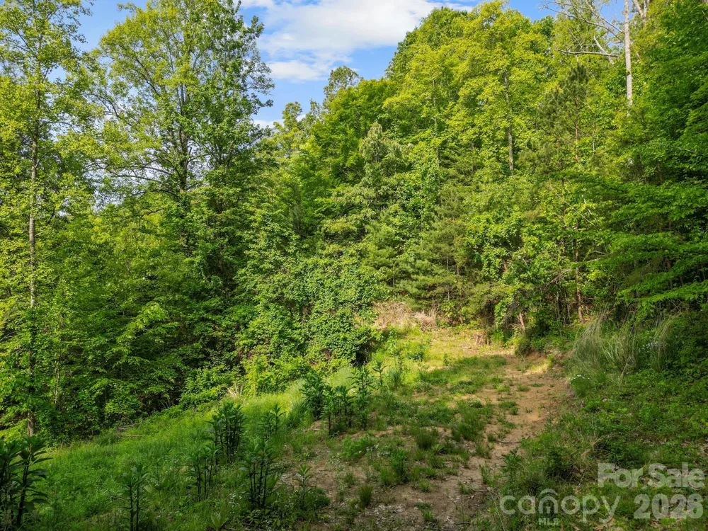 138 Whitfield Lane Weaverville, NC 28787