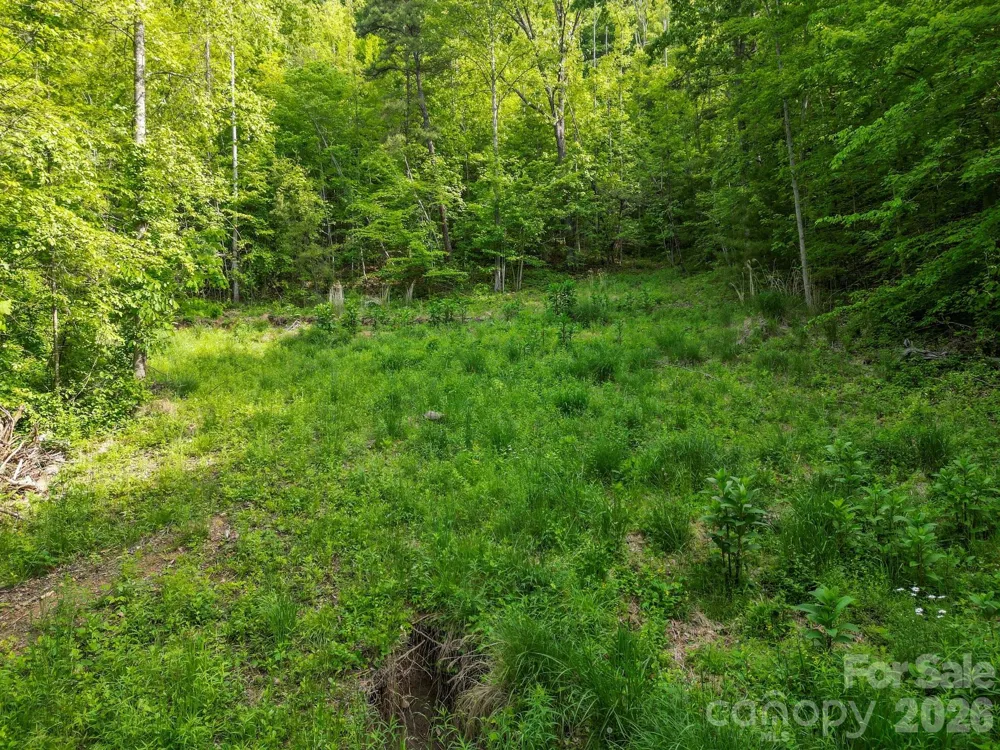 138 Whitfield Lane Weaverville, NC 28787