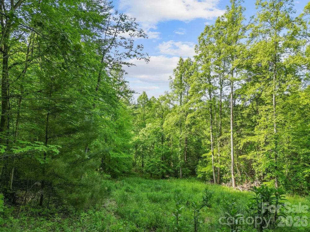 138 Whitfield Lane Weaverville, NC 28787