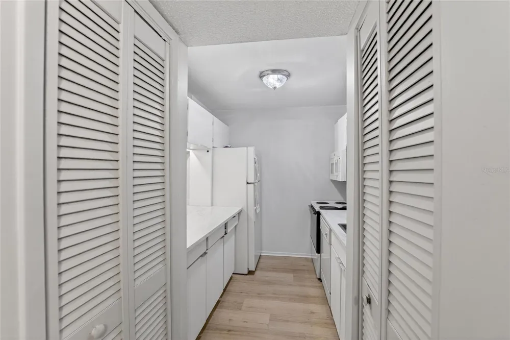11920 DIETZ DRIVE #11920 Tampa, FL 33626