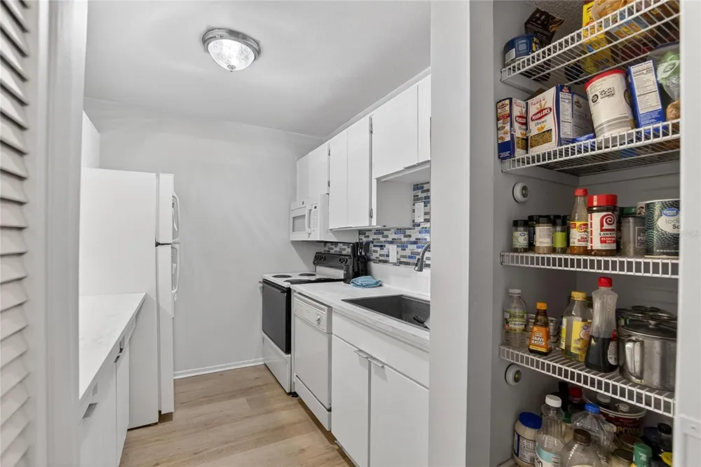 11920 DIETZ DRIVE #11920 Tampa, FL 33626