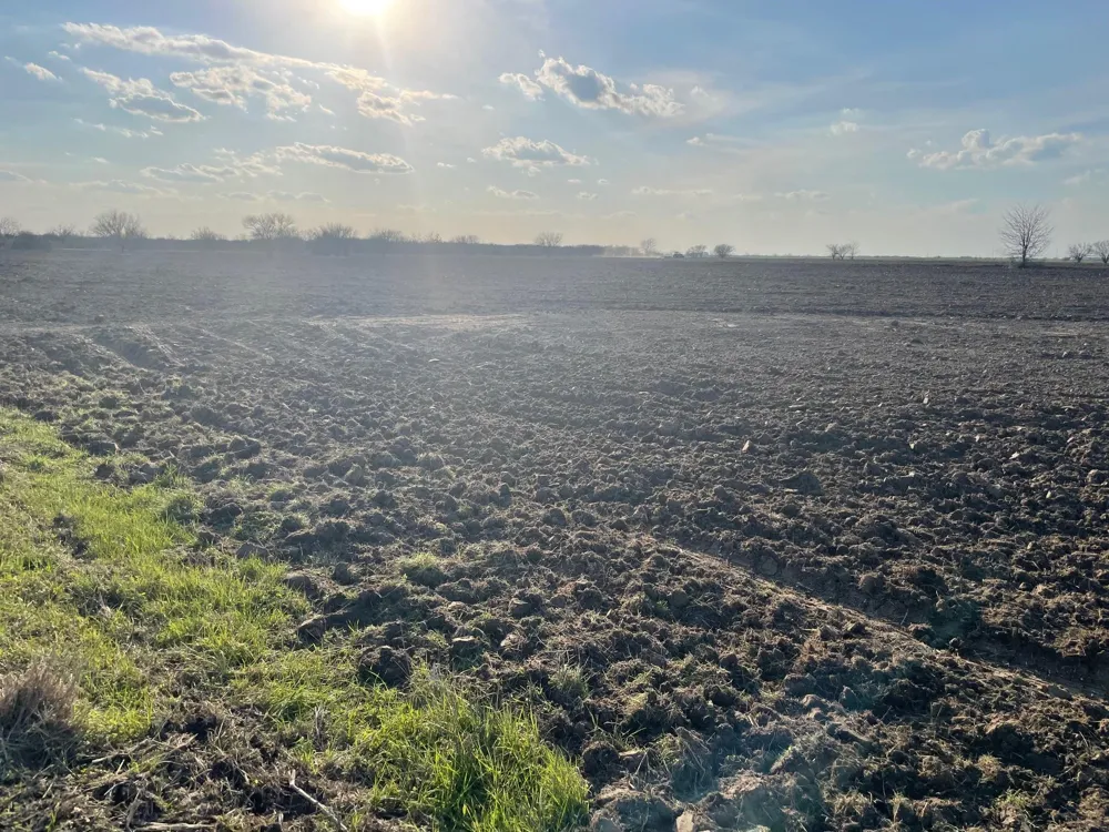 Orange Hill Rd Road Sealy, TX 77474