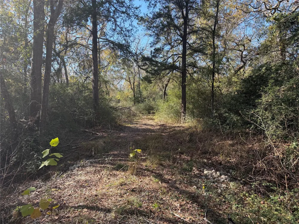 34 Cr 389 Jewett, TX 75846
