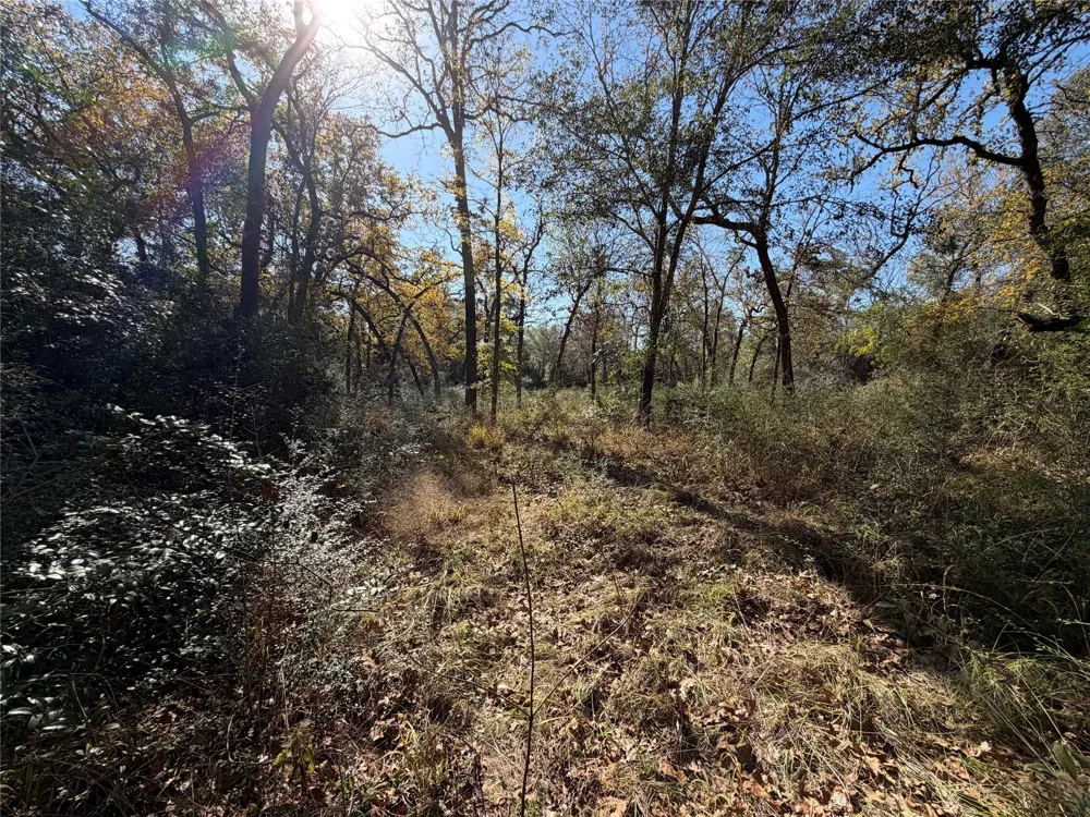 34 Cr 389 Jewett, TX 75846
