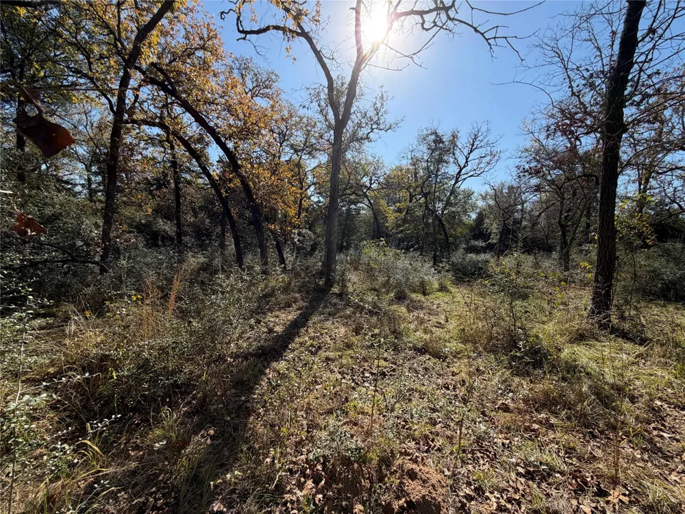 34 Cr 389 Jewett, TX 75846