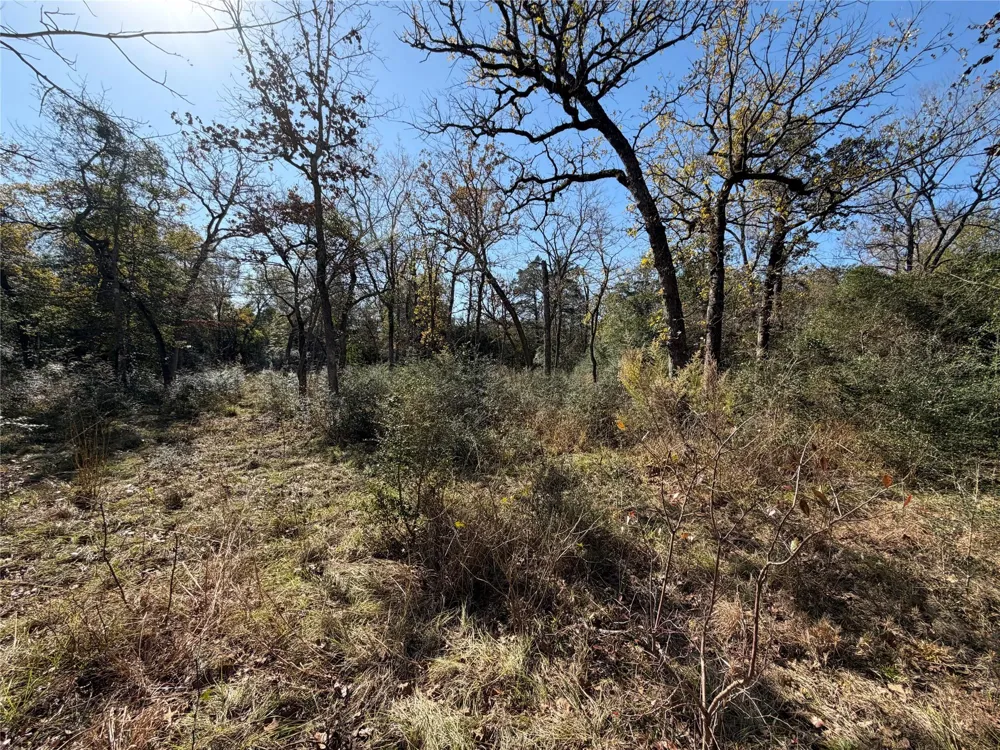 34 Cr 389 Jewett, TX 75846