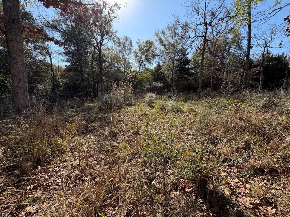 34 Cr 389 Jewett, TX 75846