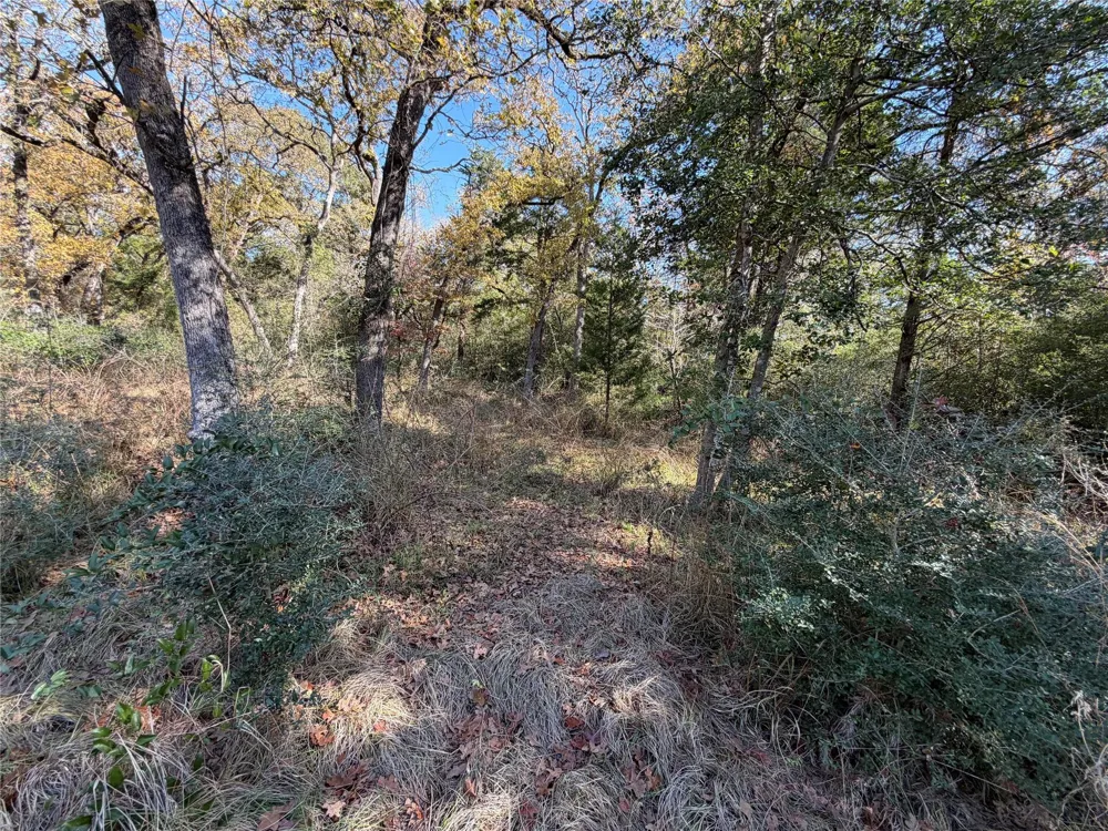34 Cr 389 Jewett, TX 75846