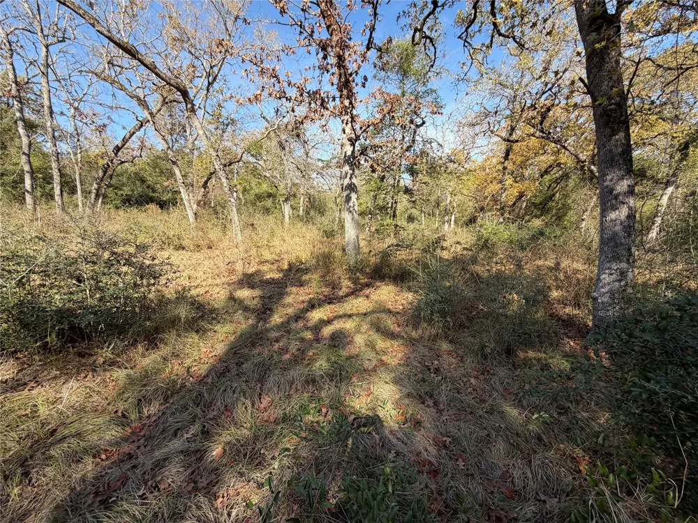 34 Cr 389 Jewett, TX 75846
