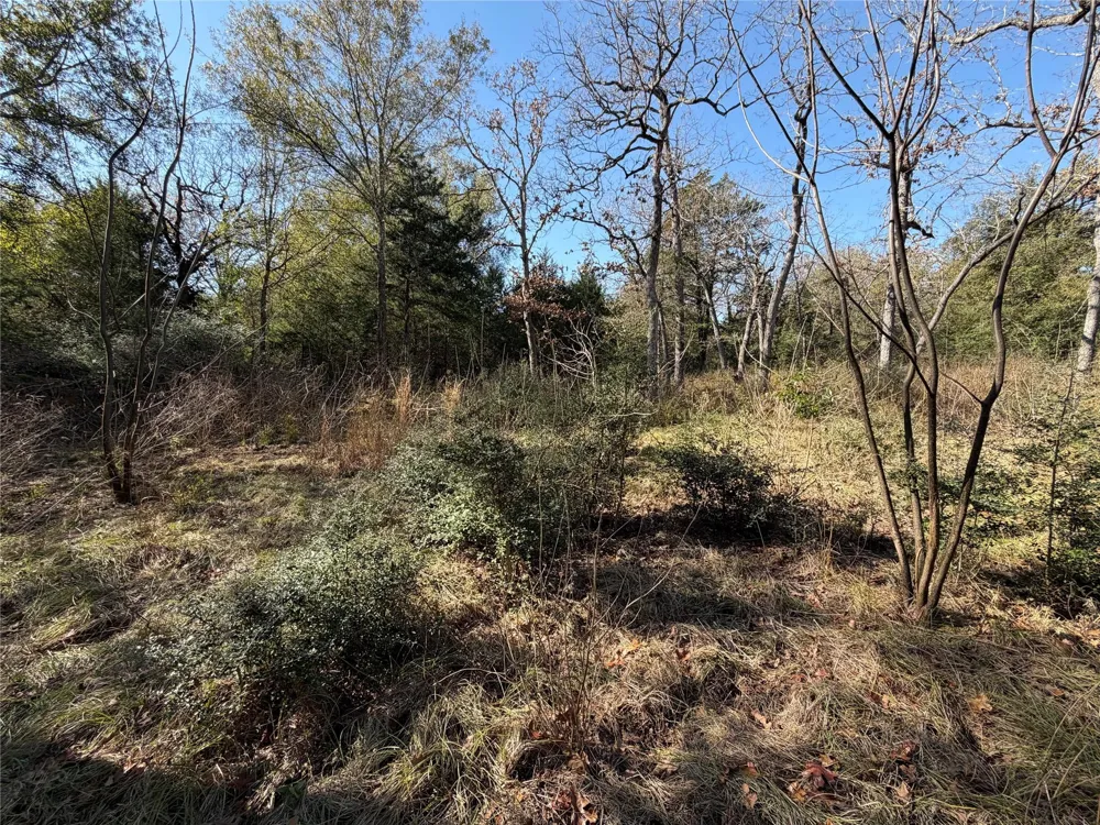 34 Cr 389 Jewett, TX 75846