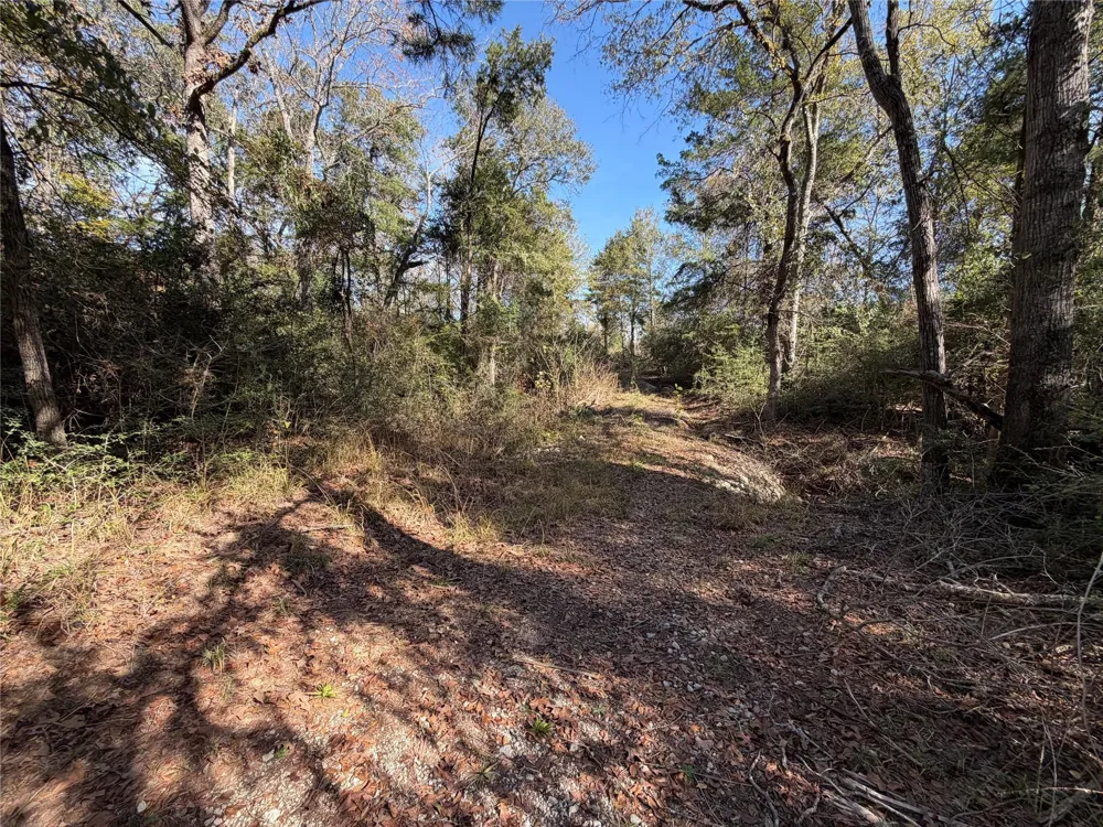 34 Cr 389 Jewett, TX 75846